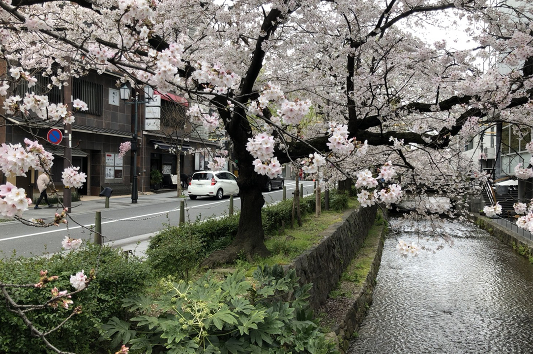 店内ギャラリー